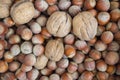 Three walnuts in a sack of hazelnuts