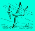 Three wandering albatrosses diomedea exulans flying over the sea, on a blue-green background Royalty Free Stock Photo