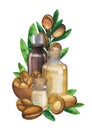 Three watercolor oil bottles surrounded by argan plants