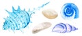 Three watercolor seashells and pebbles hand drawn isolated on white background. Marine clipart Royalty Free Stock Photo