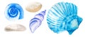 Three watercolor seashells and pebbles hand drawn isolated on white background. Marine clipart Royalty Free Stock Photo