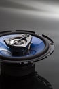 Three-way speaker system, coaxial speaker, car audio music, subwoofer. Top view Royalty Free Stock Photo