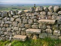 Three weathered, cantilevered steps in a dry stone wall form a stile on a field boundary on the Hadrian`s Wall Path Royalty Free Stock Photo