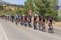 Cyclists during cycling race La Vuelta in Spain