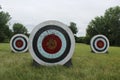 Three Archery Targets in a Grass Field