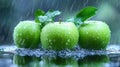 Three wet green apples in rain, water droplets, dark background Royalty Free Stock Photo