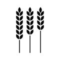 Three wheat ears icon. Agriculture symbol. Organic produce. Vector illustration. EPS 10.
