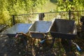 Three wheelbarrows stand on the ground, with trees and pond behind them Royalty Free Stock Photo