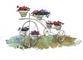 Three-wheeled Retro bicycle with flower pots in landscape design