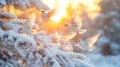 Three White Birds Flying in a Snowy Pine Tree at Sunset Royalty Free Stock Photo