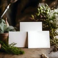 Three white blank sheets of paper arranged side by side around green plants Royalty Free Stock Photo