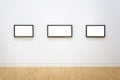 Three white clipped paintings with wooden frames hung on a clear wall.