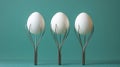 Three white eggs balanced on silver metal stands against a teal colored background in a studio shot Royalty Free Stock Photo