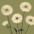 Captivating Floral Still Lifes: Nostalgic Illustration Of Four White Daisies