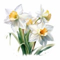 Hyper-realistic Watercolor Illustration Of White And Yellow Daffodils