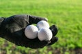 Three white gold balls held by a hand Royalty Free Stock Photo