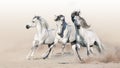 Three white horse Royalty Free Stock Photo