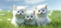 Three white kittens on the grass, AI generative