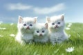 Three white kittens on the grass, AI generative Royalty Free Stock Photo