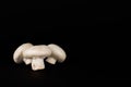 Three white mushrooms or champignon mushrooms Agaricus bisporus are lying on black background.