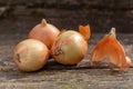 Three white onions on a on the old mossy board. close up Royalty Free Stock Photo