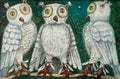 Three white owls