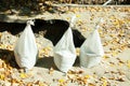 Three white plastic bags full of sand in front of the trench on the street reconstruction site and with orange autumn leaves aroun Royalty Free Stock Photo