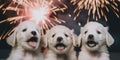 Three white puppies are sitting in front of a fireworks. Generative AI image.