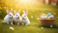 Three white rabbits in a spring meadow with flowers, Easter eggs in a wicker basket. Royalty Free Stock Photo