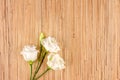 White flowers on wood background