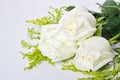 Three white roses