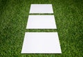 Three white sheets of paper on the grass Royalty Free Stock Photo