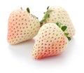 Three white strawberries Royalty Free Stock Photo