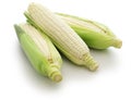 Three white sweet corns Royalty Free Stock Photo