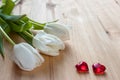 Three white tulips and two red hearts on a light wooden background Royalty Free Stock Photo