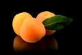 Three whole apricots with leaf isolated on black Royalty Free Stock Photo