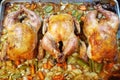 Three whole cooked chickens on a pan fresh out of the oven Royalty Free Stock Photo