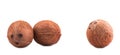 Three whole, fresh and brown coconuts, isolated on a white background. Hawaiian coconuts. Tropical and exotic coconuts.