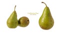 Three whole green fresh pear fruits Conference isolated on white background Royalty Free Stock Photo