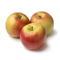 Three whole fresh ripe Kanzi apples on white background Royalty Free Stock Photo