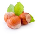 Three whole hazelnuts with green leaves isolated on white background