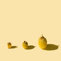 Three whole kiwi fruits in different development phases. Concept for maturing of fruits. Beige background with sunny shadows