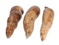 Three whole manioc Royalty Free Stock Photo