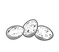 Three whole quail eggs outline