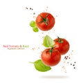 Three whole ripe juicy red tomatoes with water drops and basil leaves, peppers isolated flying falling on white Royalty Free Stock Photo