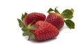 Three whole strawberries with their green leaves Royalty Free Stock Photo