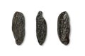 Three tonka beans, also Tonkin or tonquin beans, close-up, from above