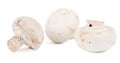 Fresh white button mushrooms Royalty Free Stock Photo