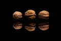 Three whole walnuts isolated on black background Royalty Free Stock Photo
