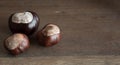 Three wild chestnuts